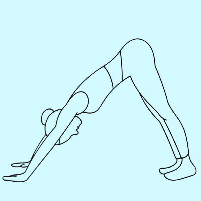 Downward-Facing Dog (Adho Mukha Svanasana)