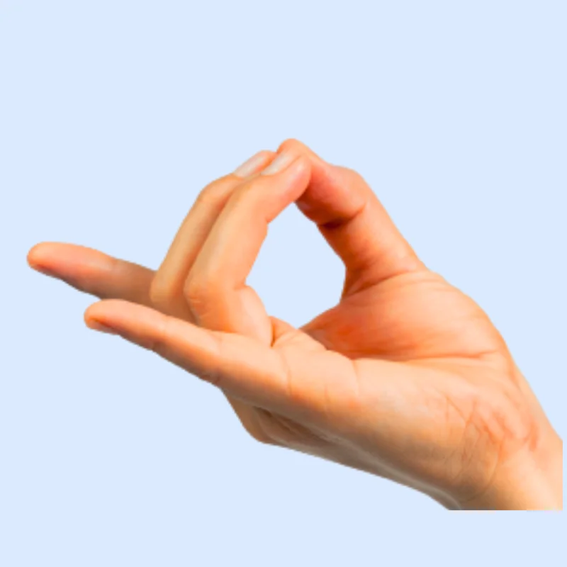 Apana Mudra (Downward Energy Mudra)